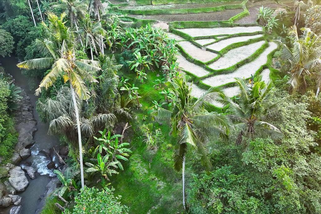Ubud Riverside Villa Esterno foto